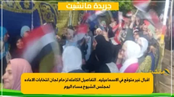 إقبال غير متوقع في الإسماعيلية.. التفاصيل الكاملة لزحام لجان انتخابات الإعادة لمجلس الشيوخ مساء اليوم 1